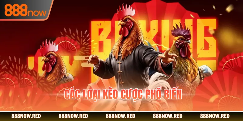 Các loại kèo cược phổ biến
