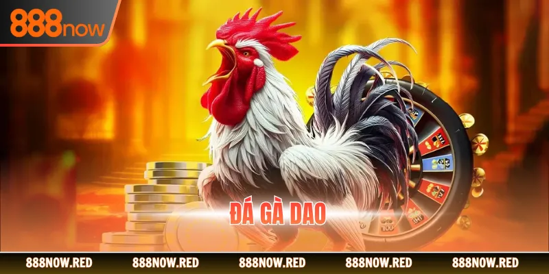 Đá Gà Dao 888NOW - Cuộc Chiến Nảy Lửa Giữa Chiến Kê Top Đầu