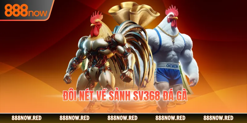 Đôi nét về sảnh SV368 đá gà