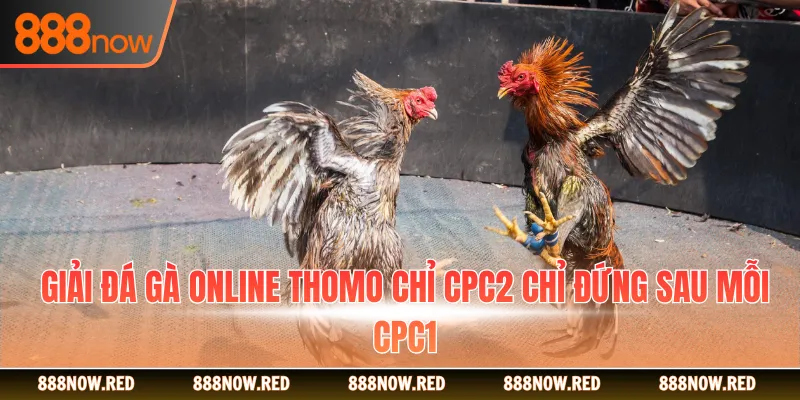 Giải đá gà online Thomo chỉ CPC2 chỉ đứng sau mỗi CPC1