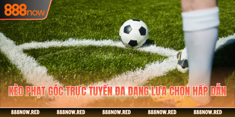 Kèo phạt góc trực tuyến đa dạng lựa chọn hấp dẫn