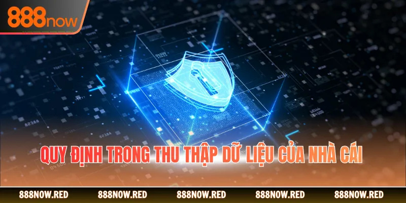 Quy định trong thu thập dữ liệu của nhà cái