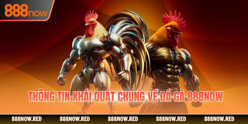 Thông tin khái quát chung về đá gà 888now